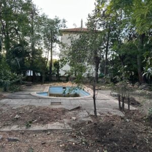 Piscine abandonnée dans un jardin envahi par la végétation, vue d'ensemble.